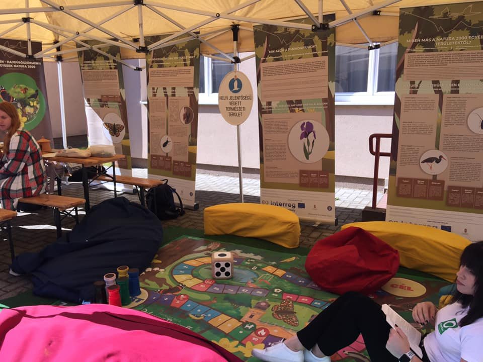 energiahatékonysági nap 14